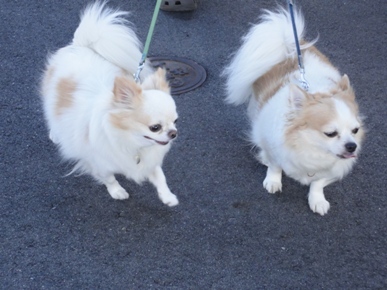 DSC08780.JPG