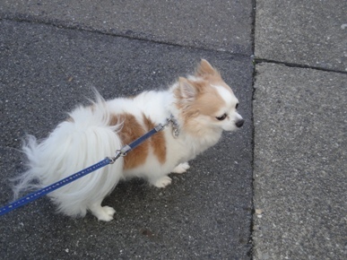 DSC08811.JPG
