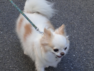 DSC08813.JPG