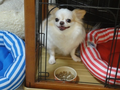 DSC08829.JPG