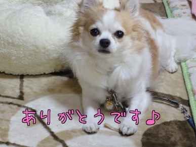 ありがとう.jpg