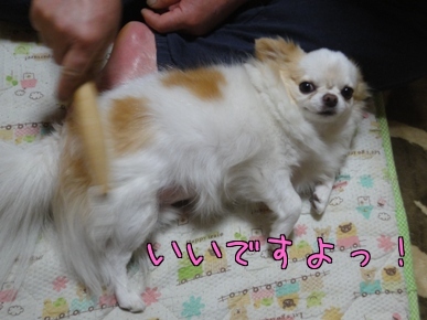 いいですよ.jpg