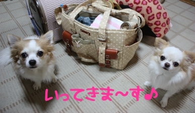 いってきま~す.jpg