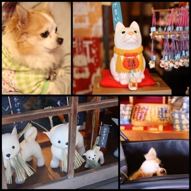 おかげ犬.jpg