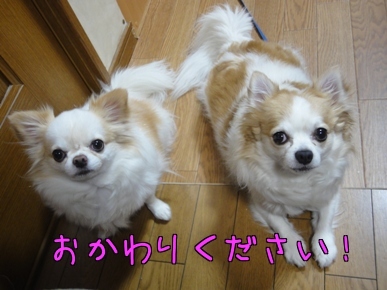 おかわり.jpg