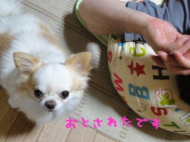 おとされた.jpg