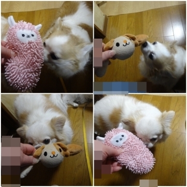 おもちゃ.jpg