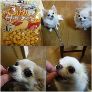おやつ.jpg