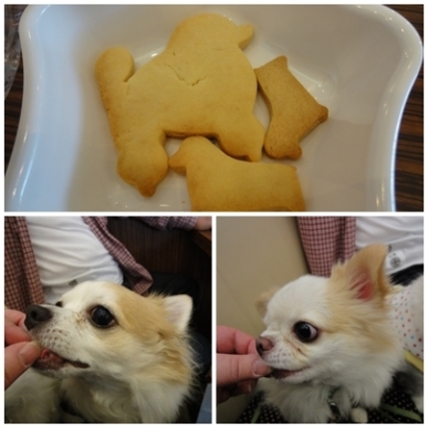 おやつ.jpg