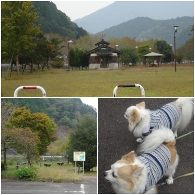 お散歩.jpg