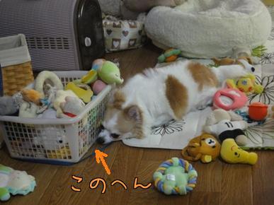 このへん.jpg