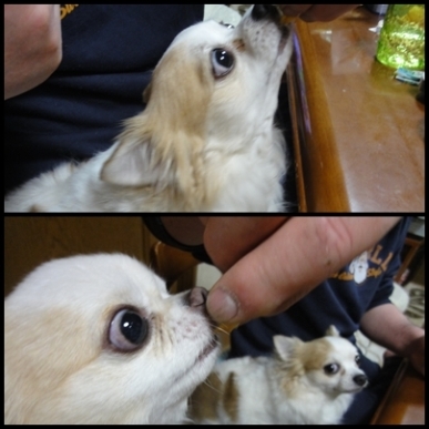 ちょっとだけpage.jpg