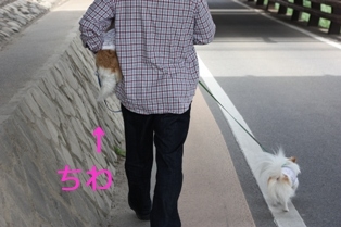 ちわ.jpg