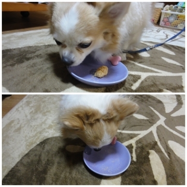 ちわおはぎ.jpg