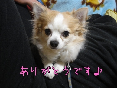ちわXygwKJOSX_DSxCv.jpg