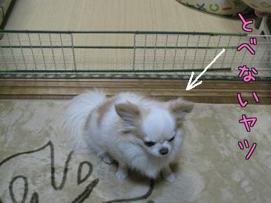 とべないれお.jpg