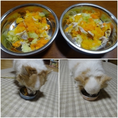 ひな祭り.jpg