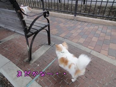 まだかな~.jpg