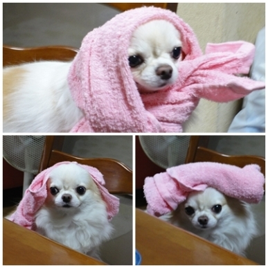 れお.jpg