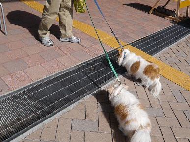 れお.gif