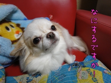 れお.jpg