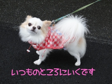 れお.jpg
