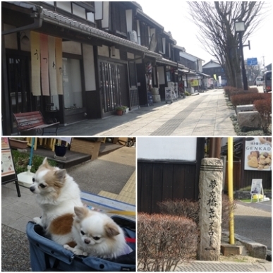 キャッスルロード3.jpg