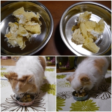 ケーキ.jpg
