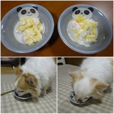 ケーキ.jpg