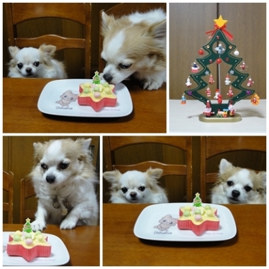 ケーキ.jpg