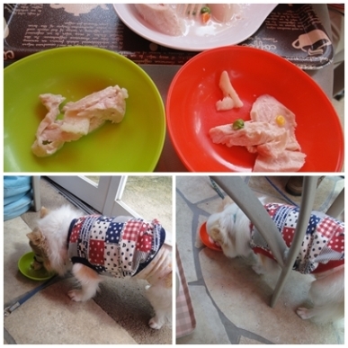 ササミ巻き.jpg