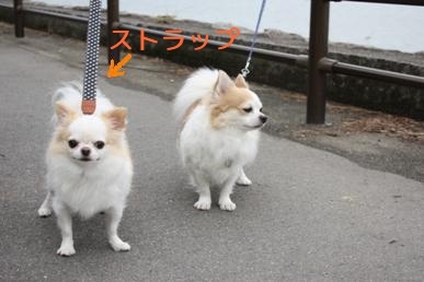 ストラップ.jpg