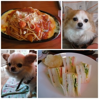 ランチ.jpg