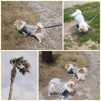 公園.jpg