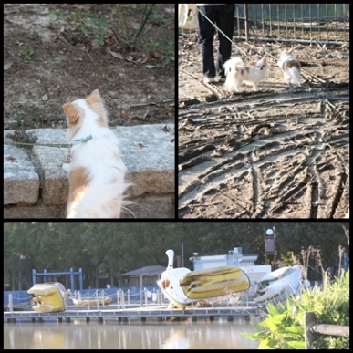 公園が.jpg