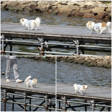 外3.jpg