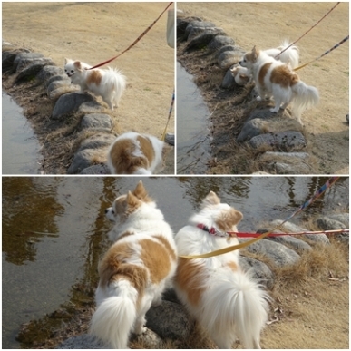 小川.jpg