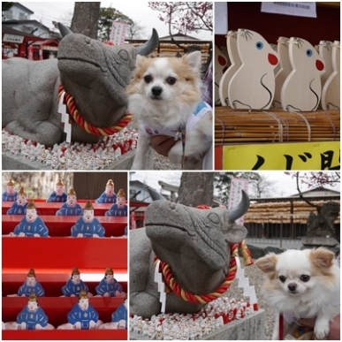 撫で牛.jpg