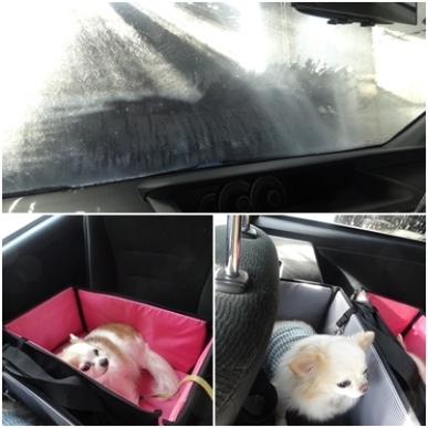洗車.jpg