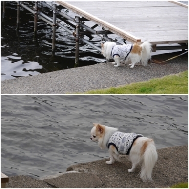 海.jpg