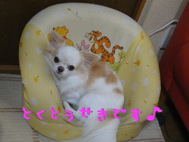 特等席.jpg