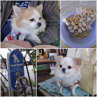 玉子ボーロ.jpg