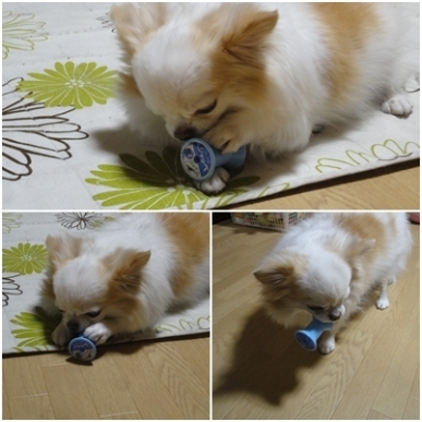 糸巻き.jpg