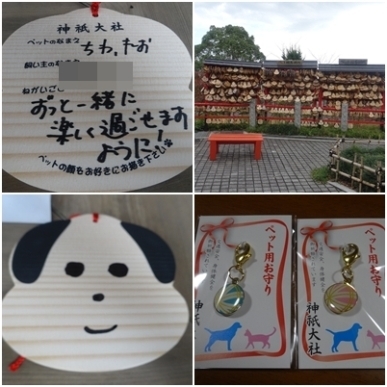 絵馬.jpg
