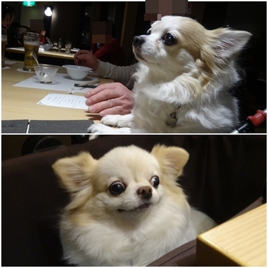 興味津々.jpg