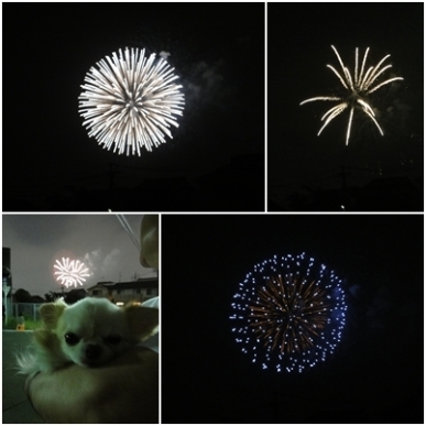 花火.jpg