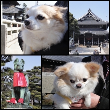 豊川稲荷.jpg