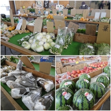 野菜.jpg
