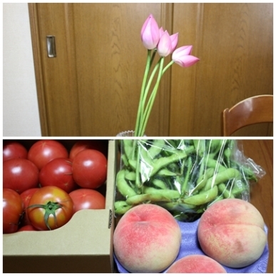 野菜.jpg