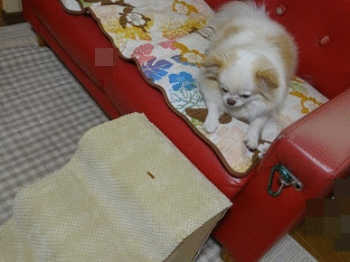 階段パート2.gif